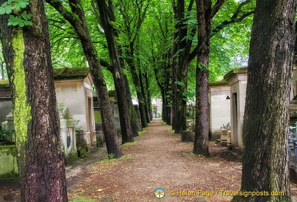 A very green path near the exit